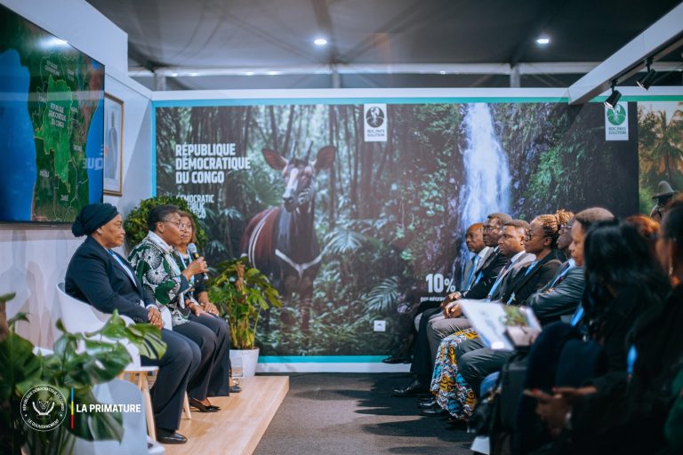COP29 À BAKOU : LA PREMIÈRE MINISTRE CONGOLAISE A APPELÉ DE TOUS SES VŒUX QUE LA RDC SOIT RÉCOMPENSÉE À SA JUSTE VALEUR